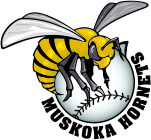Muskoka Hornets